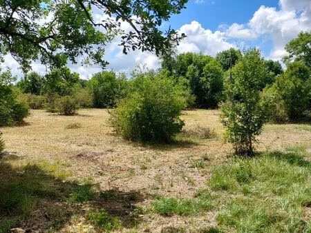 terrain à bâtir- 46 lot