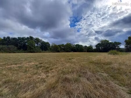 terrain 11 095 m² le pechereau