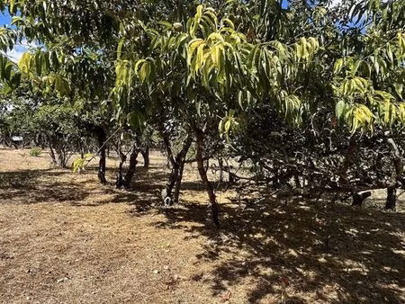 terrain 1380 m² issoudun