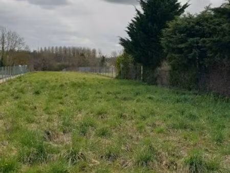 terrain constructible