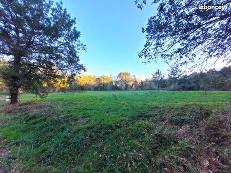 terrain 1584 m² damiatte