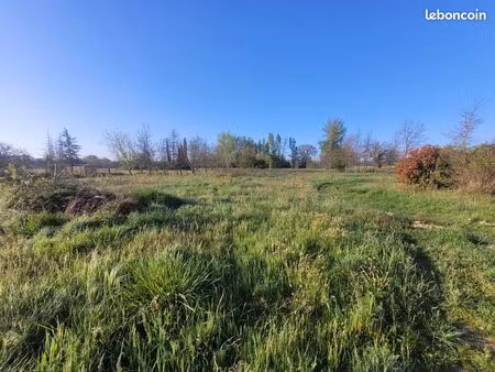 terrain 591 m² viterbe