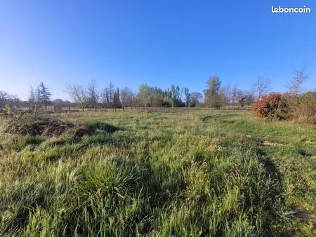 terrain 591 m² viterbe