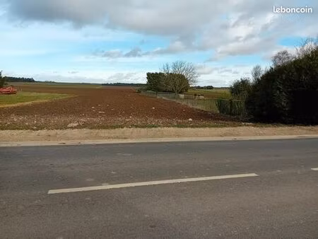 terrain constructible