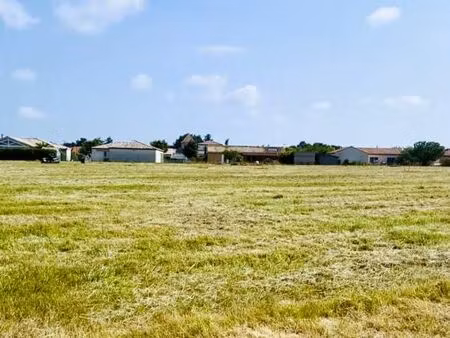 terrain 445 m² brax