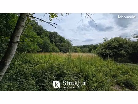 terrain 1831 m² saint-hubert