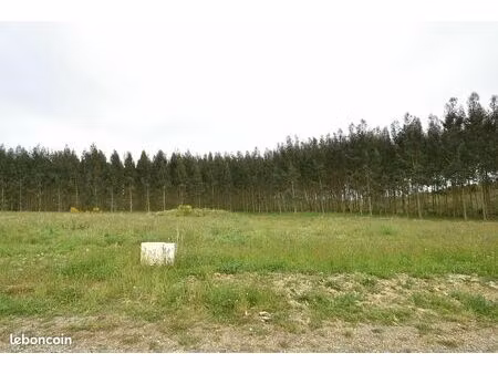 terrain 1 133 m² bats tursan