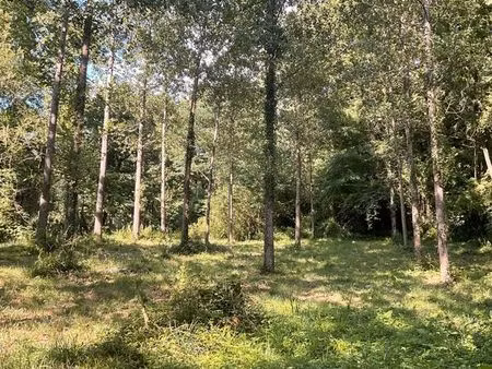 forêt bois d’agrément