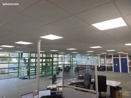 local d'activité 1 500 m²