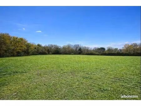 terrain 791 m² quint-fonsegrives