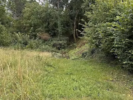 vente terrain à batir 1721 m² à bar-le-duc (55000)  70 000 €