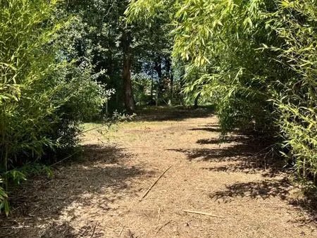 terrain 1 580 m² saubion