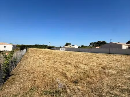 terrain constructible