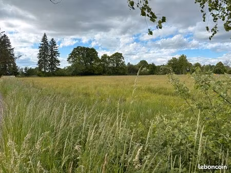 terrain constructible