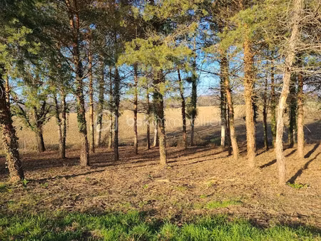 vente terrain 1000 m² à grézet-cavagnan (47250)  17 000 €