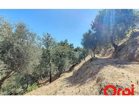 terrain castagniers m² t- à vendre  212 000 €