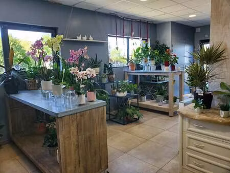 vente bureaux et commerces à ingrandes (49123) : à vendre / ingrandes