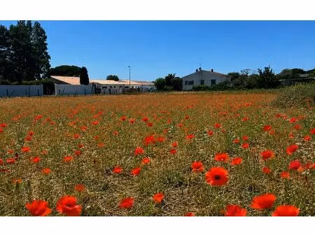 terrain sainte-marie-de-ré m² t- à vendre  490 875 €