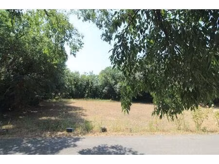 terrain constructible