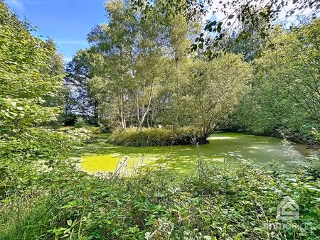 grond te koop in peer