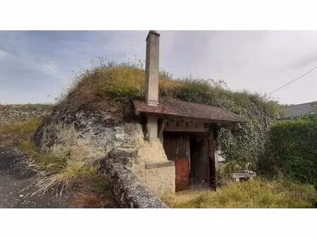 vente divers 71 m² chançay (37210)