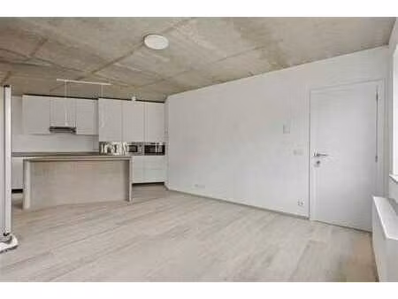 propriété de rendement récemment construite à kruibeke