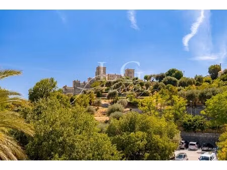 bel appartement entièrement rénové