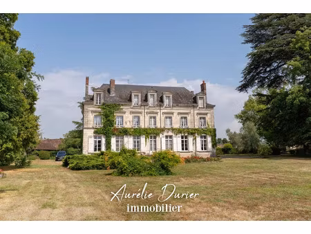 vente propriété 19 pièces 530 m² à descartes (37160)  725 000 €