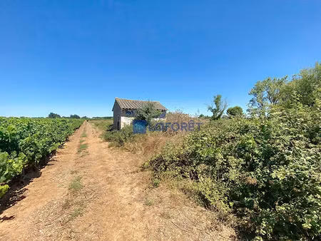 vente terrain 4100 m² à gallargues-le-montueux (30660)  30 000 €