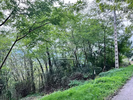 vente terrain 1500 m² à castillon-en-couserans (09800)  48 000 €