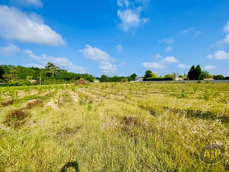 vente terrain 2200 m² à saint-germain-d'esteuil (33340)  81 000 €