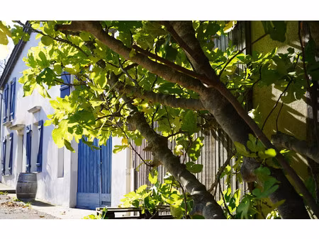 maison cascastel-des-corbières m² t-5 à vendre  239 000 €