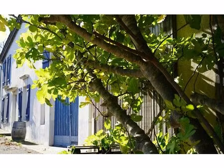 maison cascastel-des-corbières m² t-5 à vendre  295 000 €