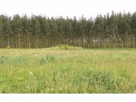 terrain bats m² t- à vendre  45 550 €