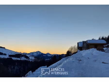 chalet en pleine nature avec vue