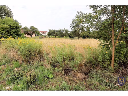 hegenheim sur les hauteurs au calme terrain constructible de