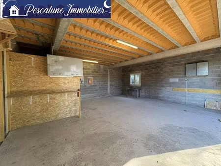 location locaux professionnels 50 m² à marsillargues (34590)  660 €
