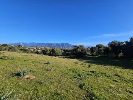 terrain constructible viabilisé à vendre