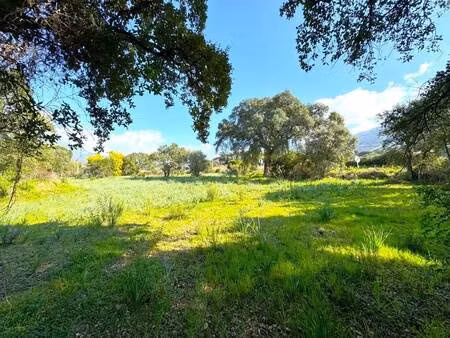 terrain constructible viabilisé à vendre