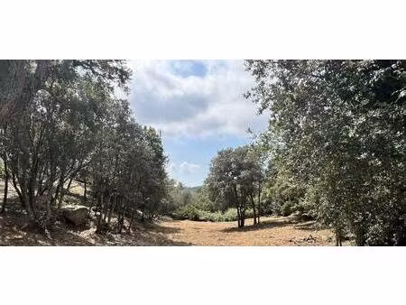 terrain constructible viabilisé à vendre