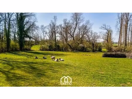 terrain de pâturage de 12 980 m² à vendre - libre de bail