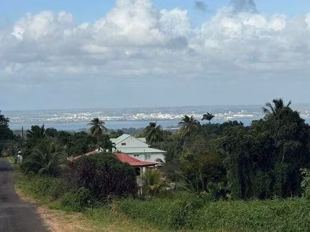 bouhanik audrey capifrance