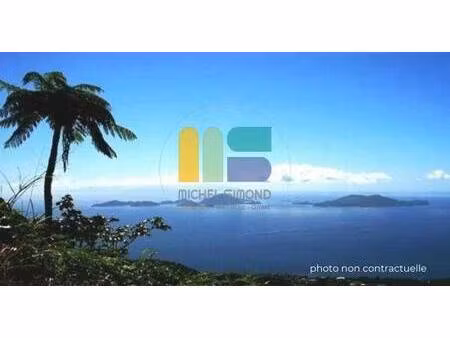 restaurant à vendre