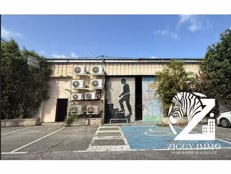 ziggy immo world wide real estate