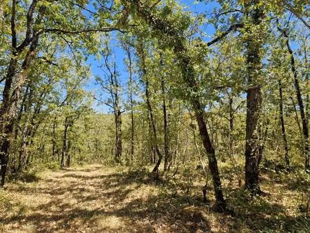 terrasson immobilier