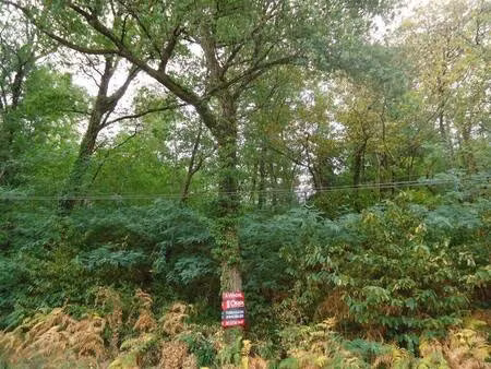 terrasson immobilier