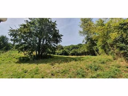 terrasson immobilier