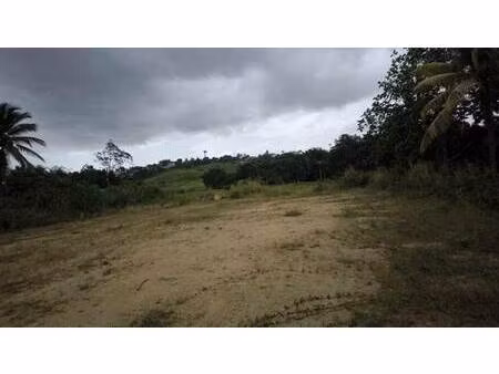 terrain constructible à vendre