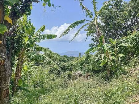 terrain constructible à vendre