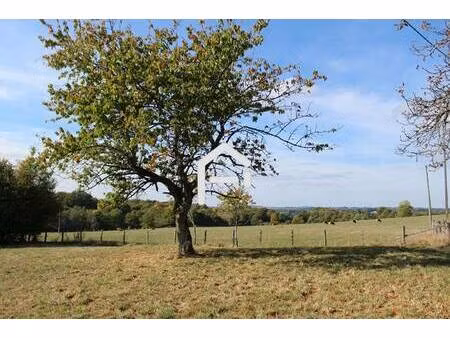 terrain à vendre